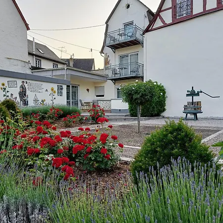 Ferienwohnung Moselstrand Briedern Extérieur photo
